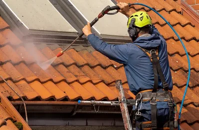 Démoussage et hydrofuge de toiture à Fontgombault